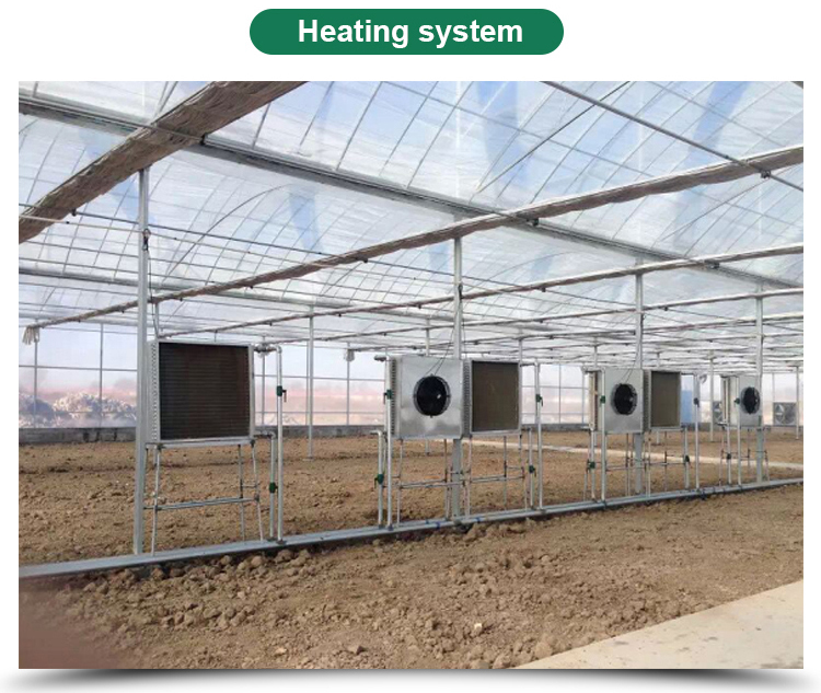Automatic Controlling System Single Layer Greenhouse for Commercial Korean Model Film