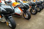 Dirt Bike (electric),250w,350w ,24v,12A . disc brake.hot sale model