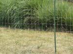 Hight Quality Goat Farming Field Fence 5 Ft Goat Fencing Farm Animal Fence