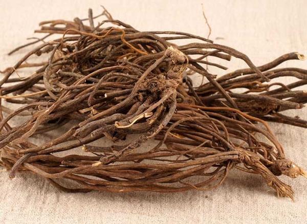 Pungent Taste Traditional Chinese Herbs , Dried Clematis For Eliminate