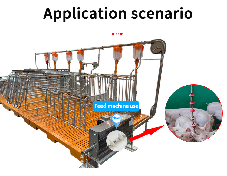 Livestock Farm Automatic Chain Disc Feeding Line