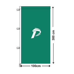 China 100x300cm 110g Printed Custom Advertising Flags wholesale