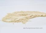 Slightly Yellowish Vital Wheat Gluten Protein For Eel / Shrimp / Salmon