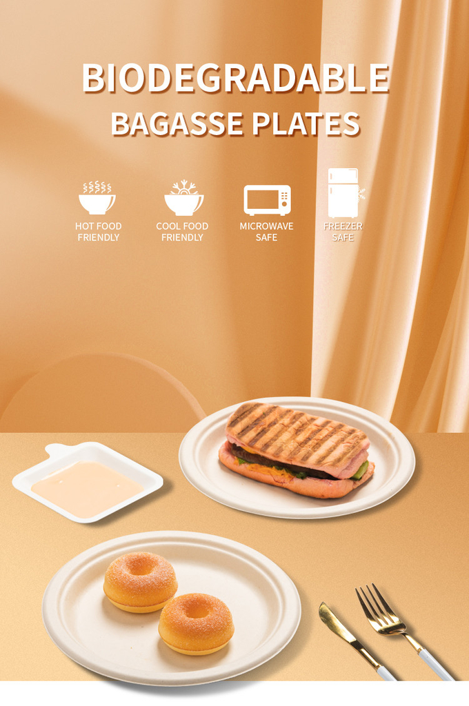 10 Inch Pulp Plate Sugarcane Bagasse Tableware