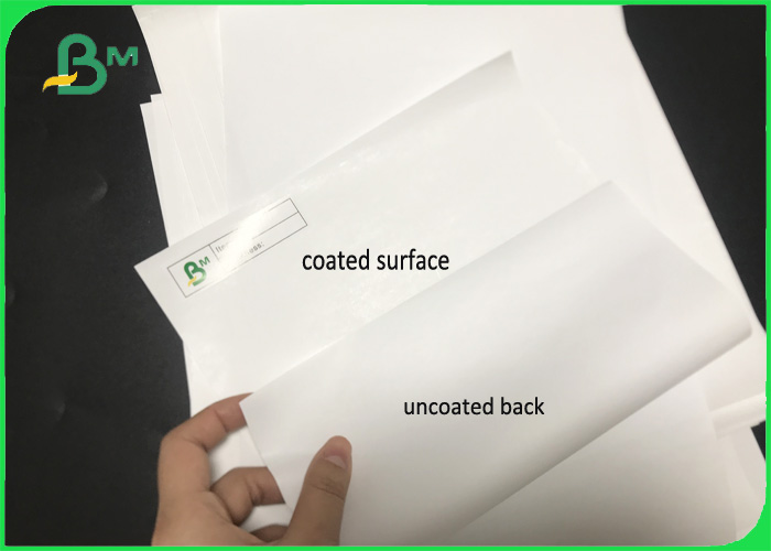 48gsm 55gsm Register Thermal Receipt Paper Rolls For POS/ ATM Printing 