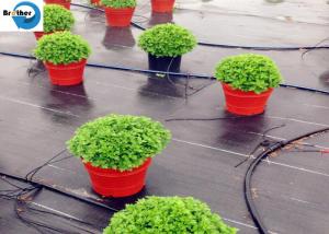 China PP Woven Ground Cover Garden PP Woven Weed Barrier Control Mat Landscape Fabric wholesale