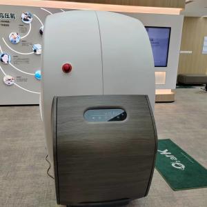 China Silent 4PSI Hardshell Hyperbaric Therapy Hyperbaric Chamber Room wholesale