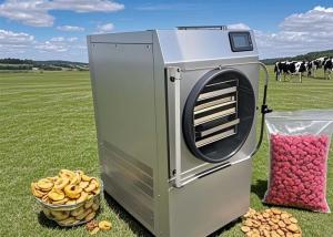 China Commercial Food Freeze Dryer Fruit Vegetable Candy Vacuum Freeze Drying Machine on sale