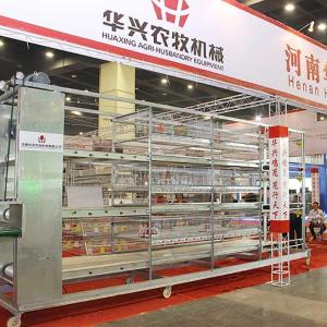 China Q235 Steel 45 Days Chicken Cage , Labor Saving Broiler Farming In Cage System wholesale