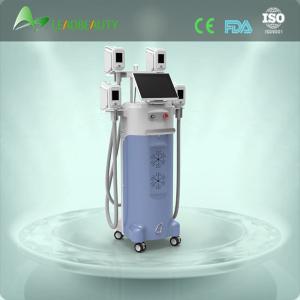 China Perfect effect slimming machine cryolipolysis fat freezing equipment wholesale