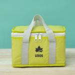 Insulated Soft Cooler Picnic Lunch Box Tote Bottle Bag Freezer Tote Handbag