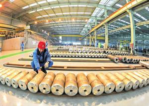 China Stainless Steel Seamless Boiler Tubes / ASTM 316 316L A312 304 Ss Tubes wholesale