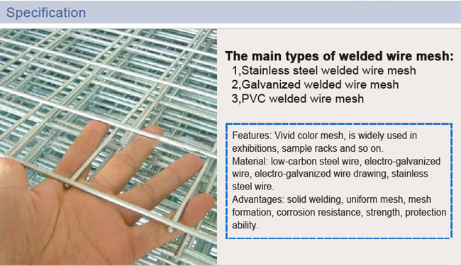 3.15mm Welded Wire Mesh Panels 50 X 50mm Aperture Galvanized For Fence
