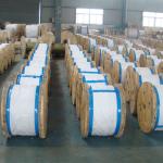 Galvanized Steel Wire in Z2 Packing
