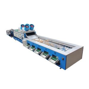 China Vegetable Apple Potato Onion Tomato Garlic Grading Machine wholesale