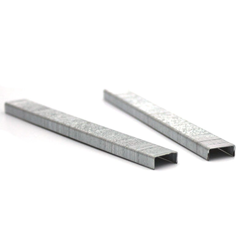 21 Gauge Staple 1/2 Crown 80series 12mm Furniture Decoration
