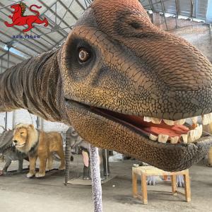 China Indoor Realistic Dinosaur Head Wall Mount Decorative Size Customized wholesale