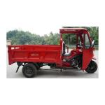 Rear Axle Assembly Gasoline Powered 250cc Cargo Tricycle Motorized Motorcycle