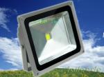 120 Degree Bridgelux 50W 4500LmOutdoor Led Floodlight Bulb with Input Voltage