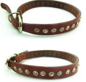 China Dog Collars wholesale