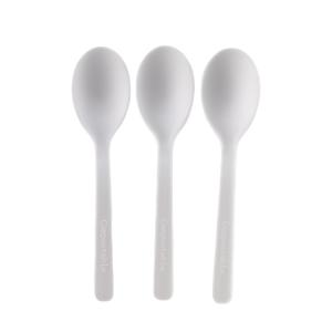 China Composatable Biodegradable Free Spoon For Party Restaurant CPLA Disposable Spoon wholesale