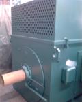 6KV 10KV YKK High Voltage Electric Motor 220kw-4500kw 3 Phase AC Asynchronous