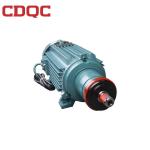 Family Size Motor Asynchronous Induction Motor High Accuracy Bearings