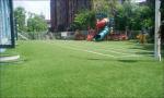Natural Artificial Synthetic Turf For Garden Landscaping 35mm Height