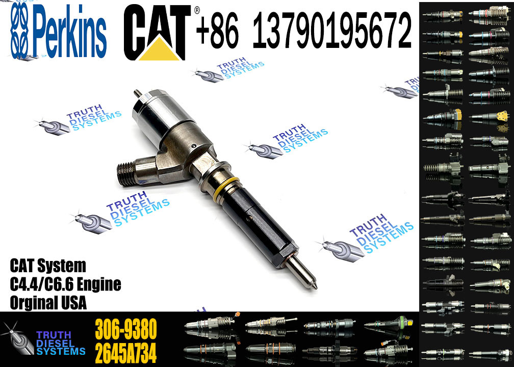 Common Rail Injector 306-9380 306-9390 310-9067 2645A751 320-0655 320-0688 2645A746 2645A749 2645A747 10R-7671