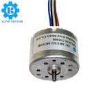Micro 24mm 6vdc 8vdc 9vdc 12vdc 24vdc 2000rpm 3000rpm 4000rpm 5000rpm 6000rpm