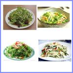 small bean sprout growing machine, home bean sprout growing machine