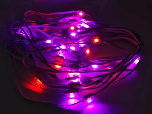 China RGBW Led Christmas Party Wedding Decoration Pixel Outdoor Point Lights wholesale