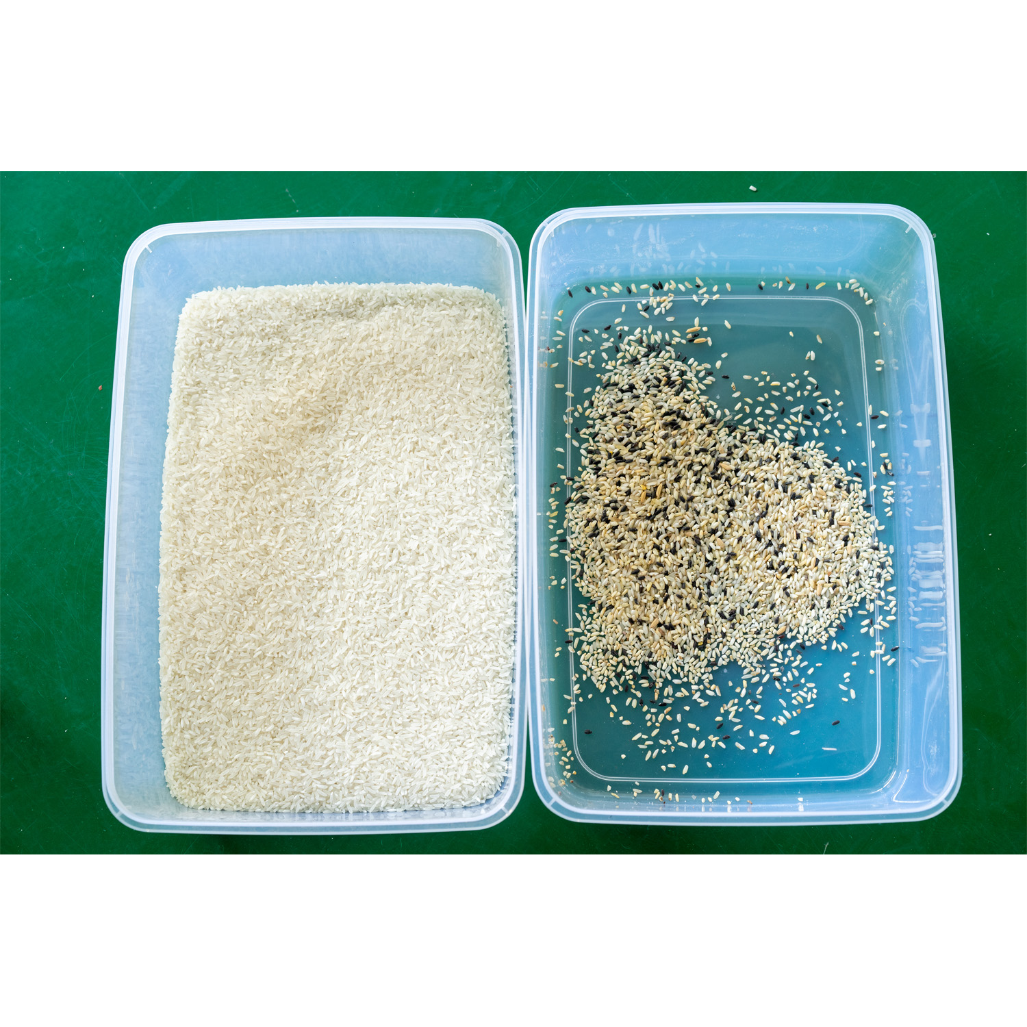 High Working Efficiency Ccd Color Sorter 6-15T/H Production Capacity