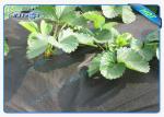 Biodegradable Heavy Duty Agricultrual Non Woven Cover In Black Color 1.5OZ 40gsm