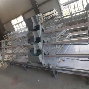 China Q235 Battery Broiler Baby Chick Cage For Meat Chicken wholesale