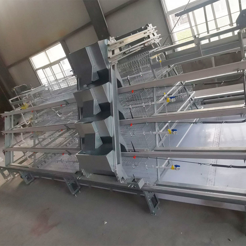 Hot Galvanized A Type Broiler Baby Chick Cage For Automatic Rearing