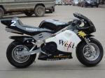 49cc 2-Stroke Air Cooled Mini Moto/Racing Bike