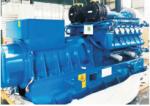 Syngas Water Cooled Natutal Gas/Biogas/LPG Generator 800kW 1500 Rpm