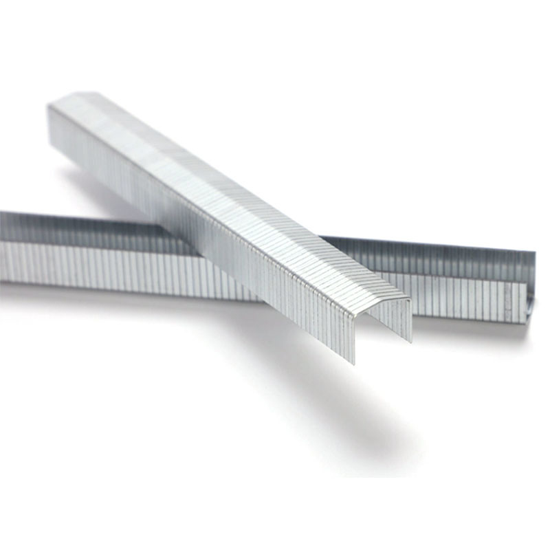 Stcr5019 Series 20 Gauge 11.60mm Crown 12mm Furniture Staple