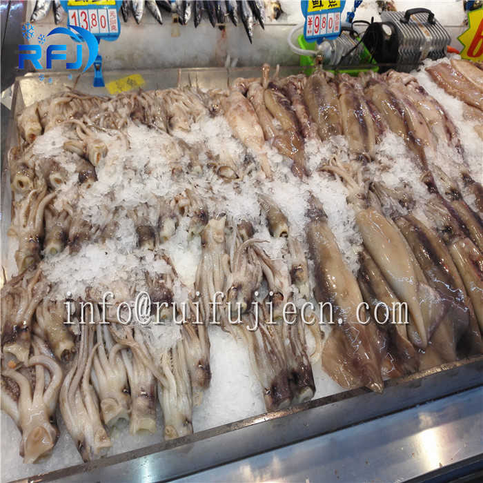 1-30 Tons Large ScaIe Flake Ice Machine Medium Size Stainless Steel 304 Material
