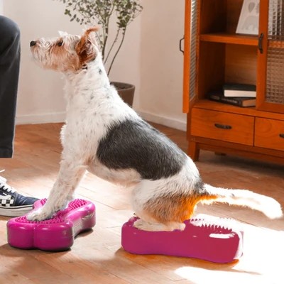 Bone stick bone shape Fit PAWS Dog Training Fitness Balance massage board Mat