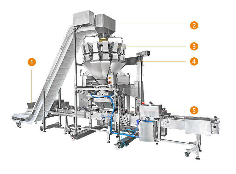 Adjustable Platform Automatic Filling Machine 110BPM Tomato Weighing And Boxing Cartoning System