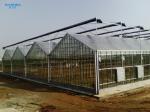 Tunnel Venlo Glass Greenhouse Fully Automatic Climate Control