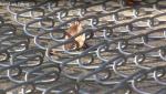 chain wire fence gate for sale