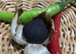 5.5cm Fermented Black Garlic products
