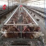 Rearing Cage Poultry Farm Brooder Breeding Equipment Sandy