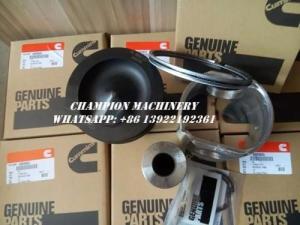 China 4089865 KIT,ENGINE PISTON FOR CUMMINS QSM11-cummins diesel parts wholesale
