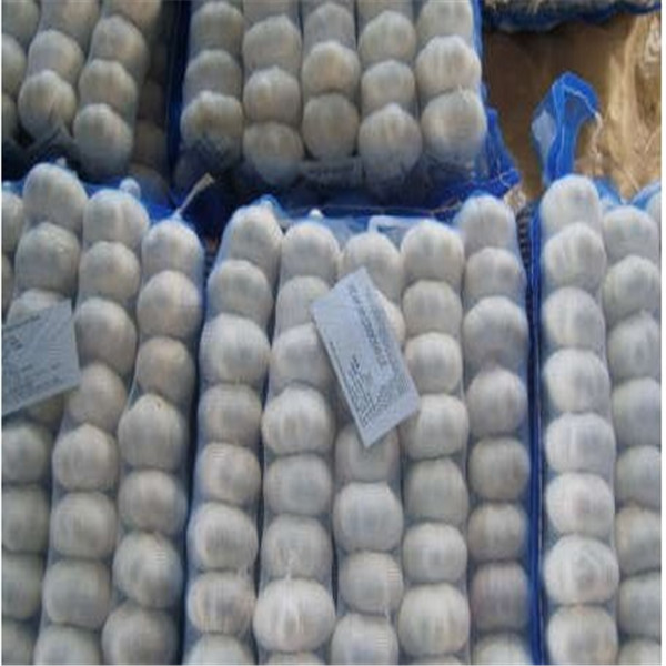 PURE WHITE GARLIC WITH TUBE & MESHBAG PACKAGE