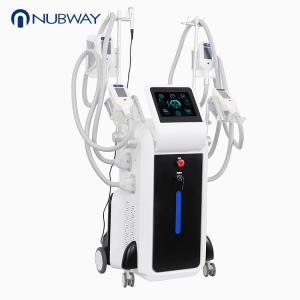 China newest non surgical cryolipolysis body sculpting machine for sale wholesale