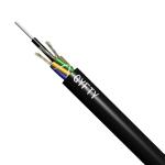 Weiroct Indoor Steel Armored Fiber Optic Cable 1550nm Outdoor 48 Core
